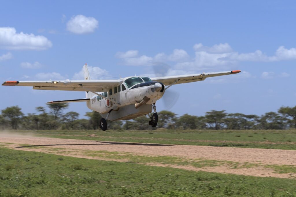 Tanzania Safari