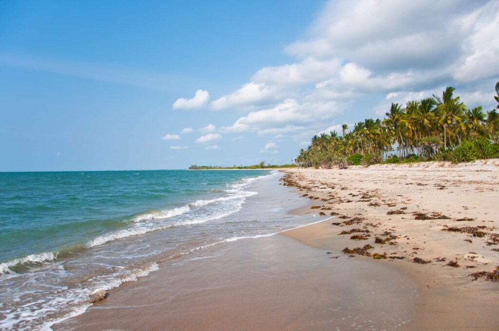 White-sands-of-Saadani-National-Park-Easy-Travel-Tanzania-scaled