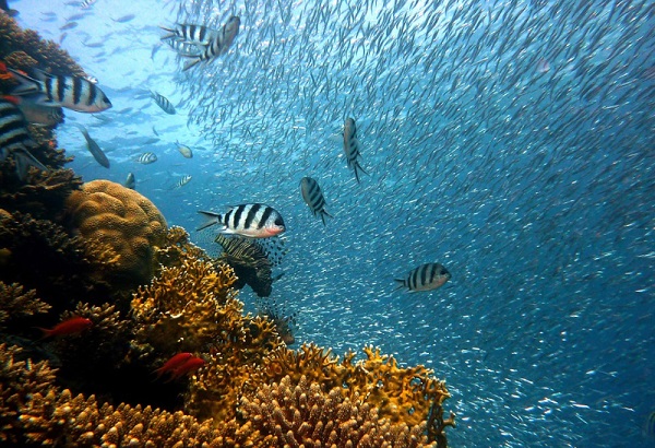 zanzibar picture 3