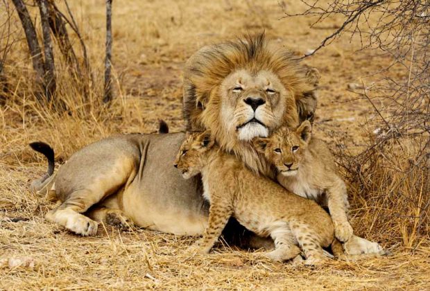 5-days-tanzania-camping-safari-package