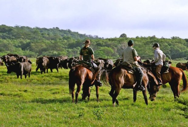 Arusha-01-750x450