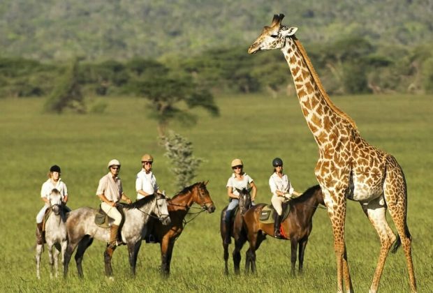 Horse-riding-safari-Johannesburg-1