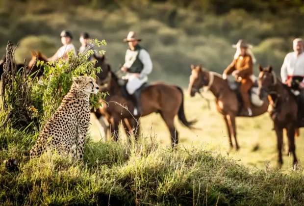 Horse-riding-serengeti