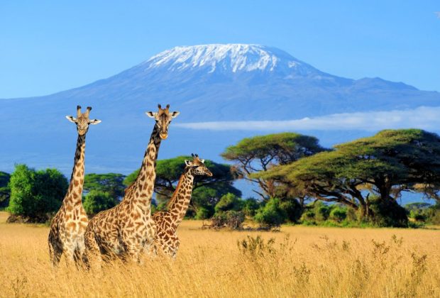 Mount-Kilimanjaro-National-Park-view-from-Kenya-3