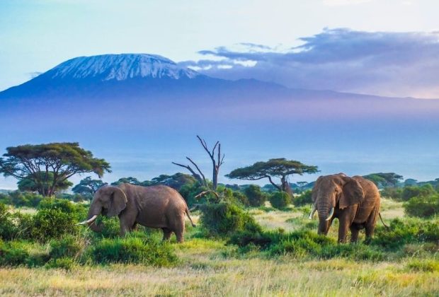 kilimanjaro-np-feature_canva